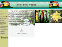 Tablet Screenshot of diamondheadplants.com